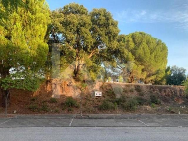 Terreno venda em Entroncamento, Nossa Senhora De Fátima