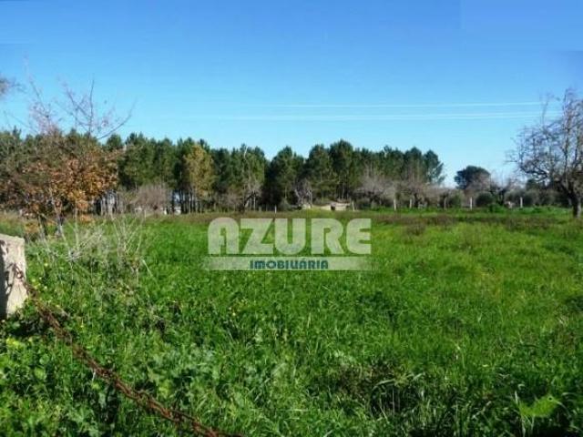 Terreno venda em Esposende, Braga