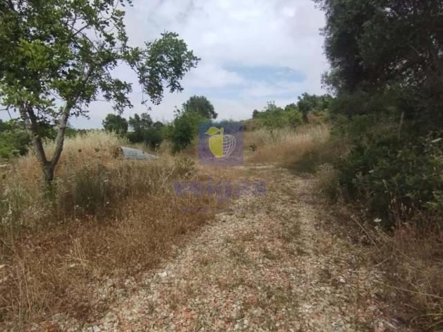 Terreno venda em Estoi Terreno venda em Estoi