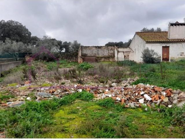 Terreno venda em Estremoz, Évora