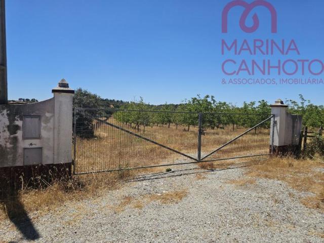 Terreno venda em Estremoz, Évora