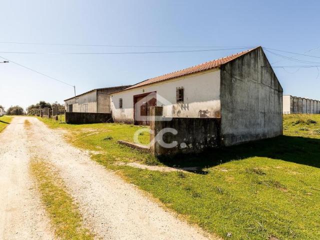 Terreno venda em Évora