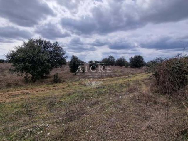 Terreno venda em Évora
