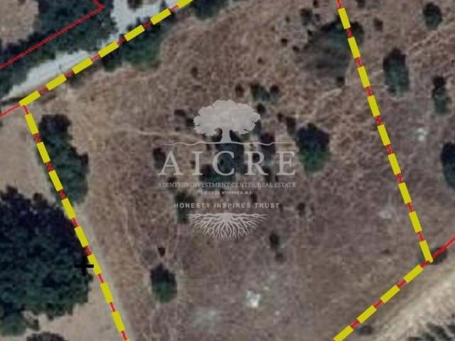 Terreno venda em Évora