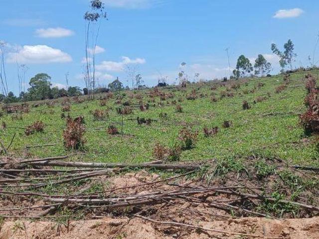 Terreno venda em Região Imediata de Sorocaba, Região Metropolitana de Sorocaba