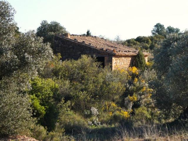 Terreno en venta en Bajo Aragón-Caspe / Baix Aragó-Casp, Aragón