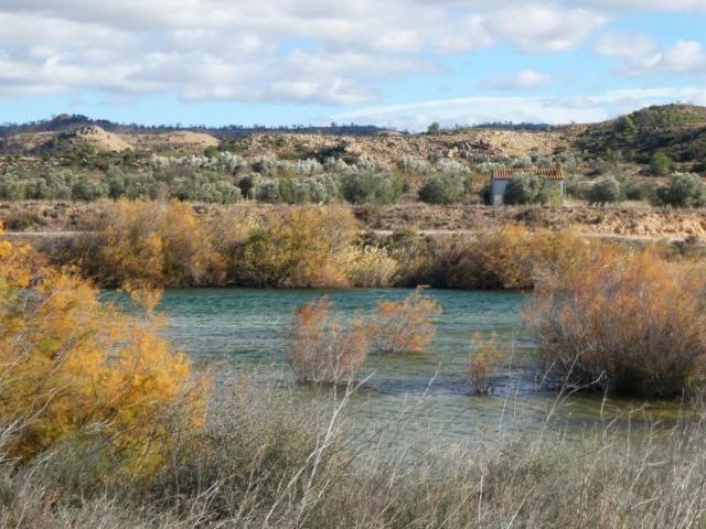 Terreno en venta en Bajo Aragón-Caspe / Baix Aragó-Casp, Aragón