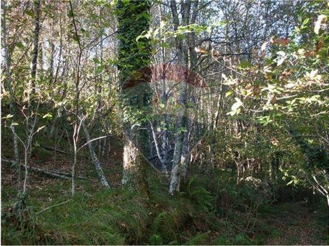 Terreno venda em Fafe, Braga