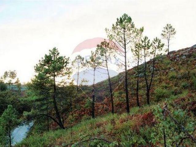 Terreno venda em Fafe, Braga