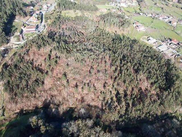 Terreno venda em Fafe, Braga
