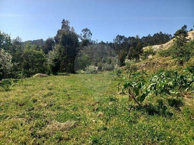 Terreno venda em Arões (São Romão), Fafe