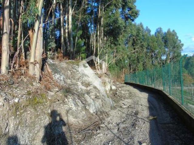 Terreno venda em Fafe, Braga