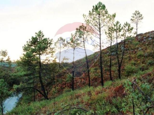 Terreno venda em Fafe, Braga