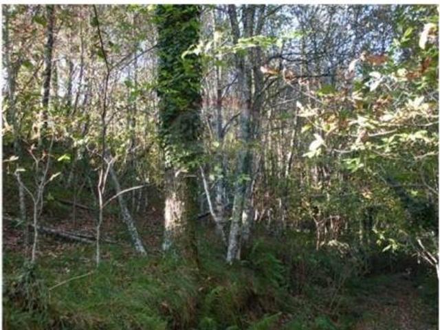 Terreno venda em Fafe, Braga