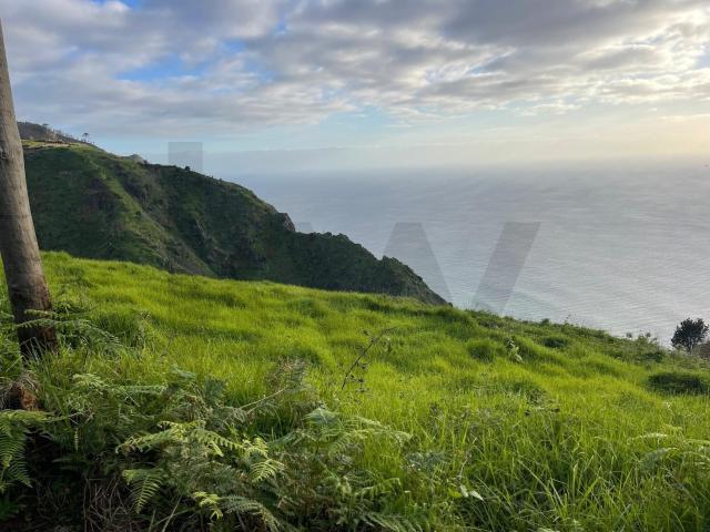 Terreno venda em Fajã Da Ovelha, Ilha Da Madeira