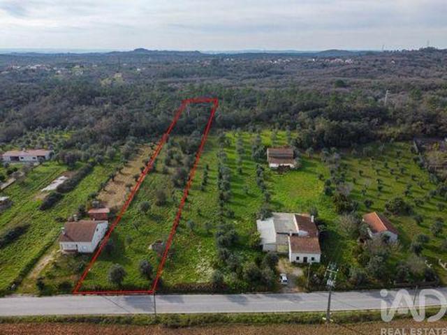Terreno venda em Telhadas, Rego Da Murta
