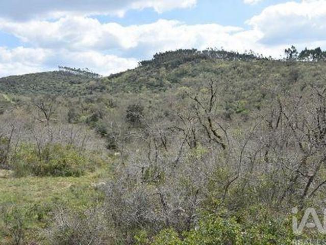 Terreno venda em Quebrada de Cima, Rego Da Murta