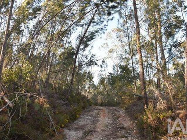 Terreno venda em Quebrada de Cima, Rego Da Murta
