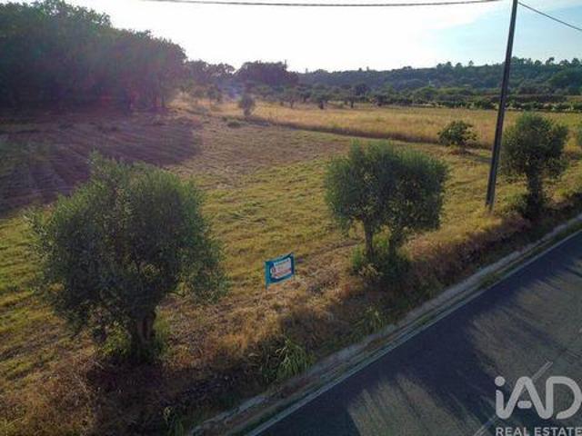 Terreno venda em Telhadas, Rego Da Murta