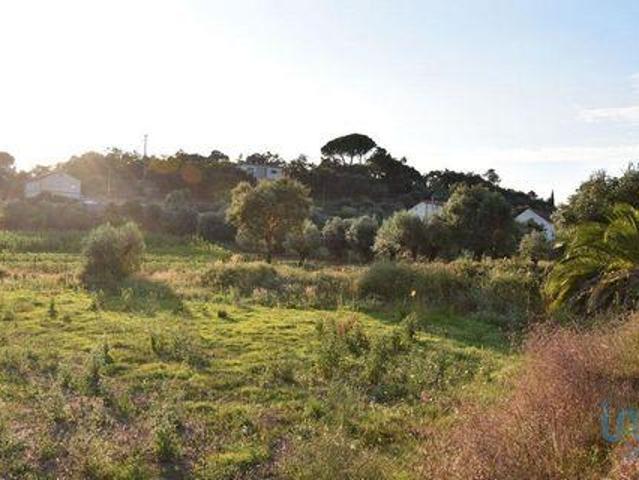 Terreno venda em Telhadas, Rego Da Murta