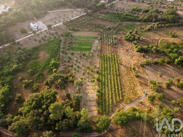 Terreno venda em Telhadas, Rego Da Murta
