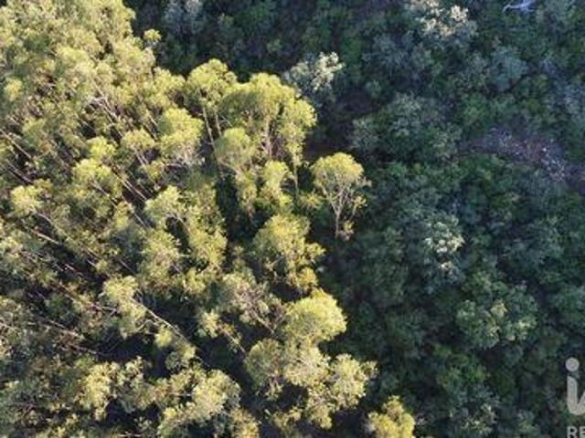Terreno venda em Quebrada de Cima, Rego Da Murta