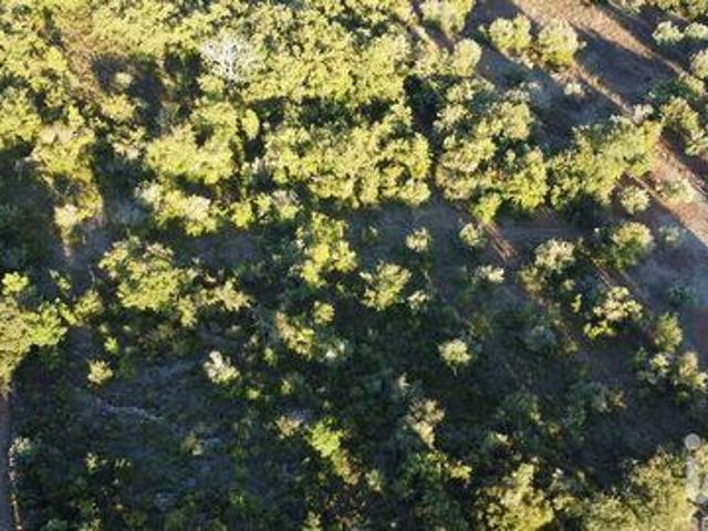 Terreno venda em Quebrada de Cima, Rego Da Murta