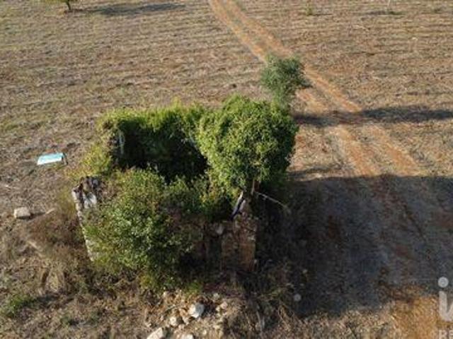 Terreno venda em Telhadas, Rego Da Murta