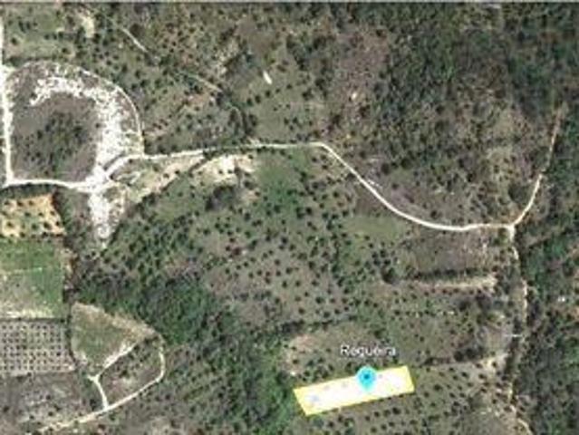 Terreno venda em Telhadas, Rego Da Murta