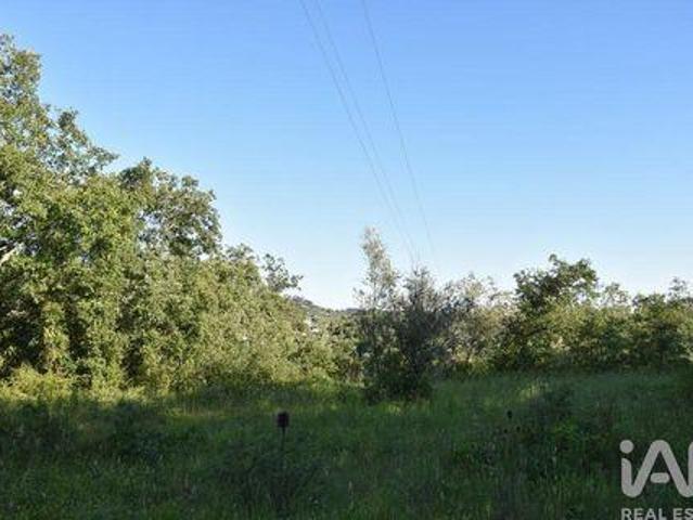 Terreno venda em Telhadas, Rego Da Murta