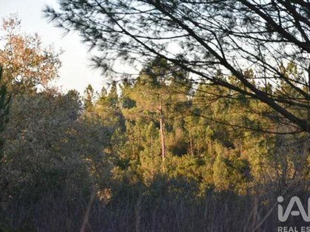 Terreno venda em Telhadas, Rego Da Murta