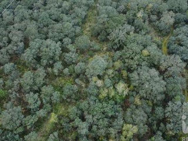 Terreno venda em Telhadas, Rego Da Murta