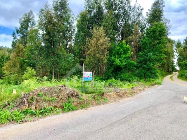 Terreno venda em Figueiró Dos Vinhos, Leiria