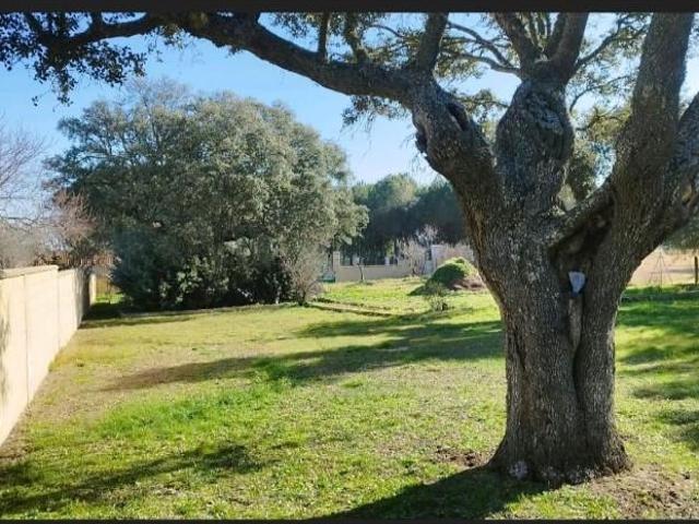 Terreno en venta en Florida De Liébana, Castilla y León