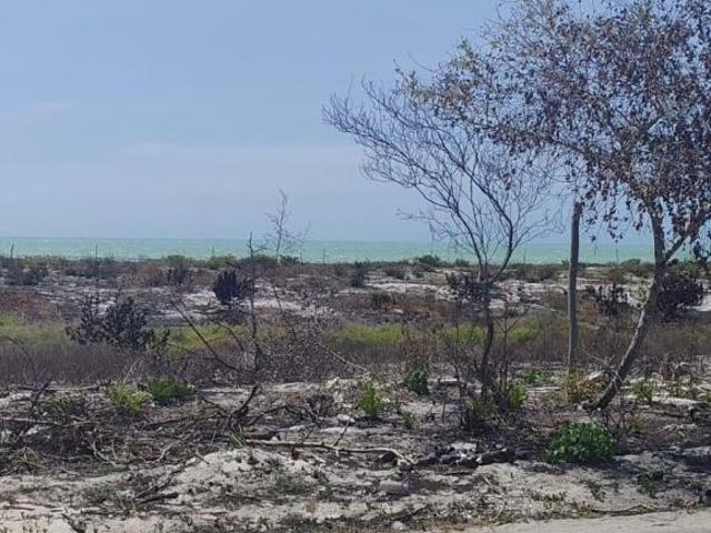 Terreno en venta en Celestún, Yucatán