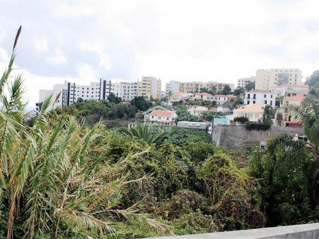 Terreno venda em Funchal