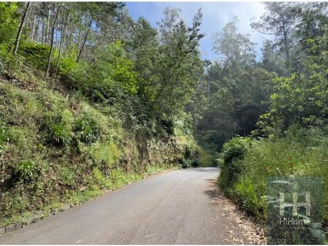 Terreno venda em Palheiro Ferreiro, Funchal