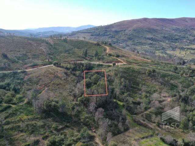 Terreno venda em Castelo Branco, Aldeia Nova Do Cabo