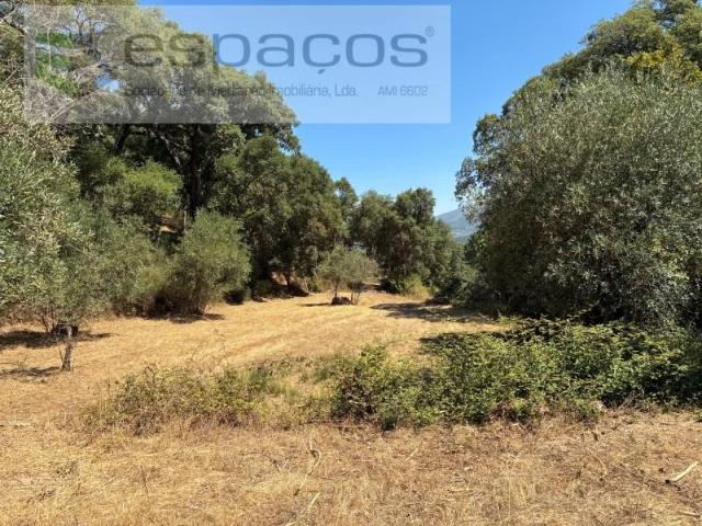 Terreno venda em Castelo Branco, Aldeia Nova Do Cabo
