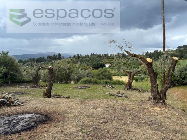Terreno venda em Castelo Branco, Aldeia Nova Do Cabo