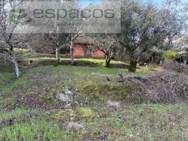 Terreno venda em Castelo Branco, Aldeia Nova Do Cabo