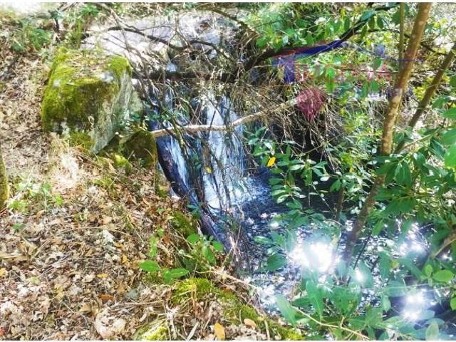 Terreno venda em Góis, Coimbra
