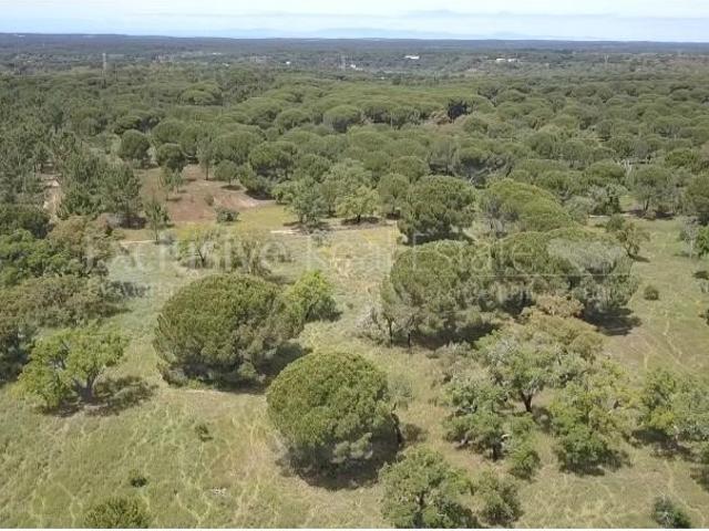 Terreno venda em Pinheiro da Chave, Grândola