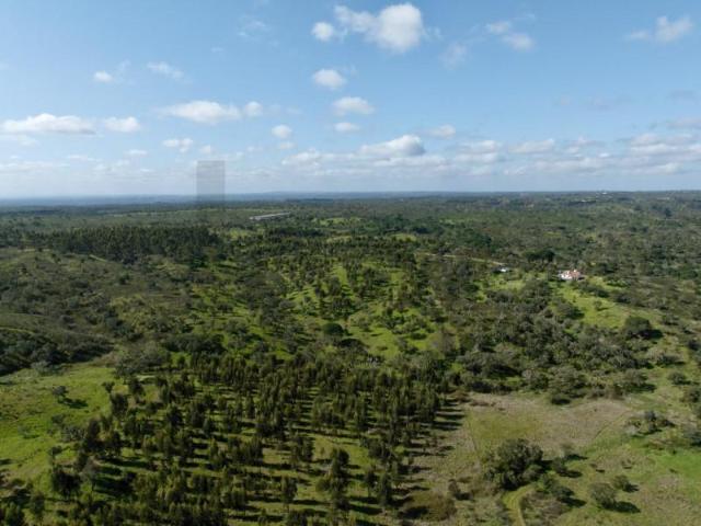 Terreno venda em Mosqueirões, Grândola