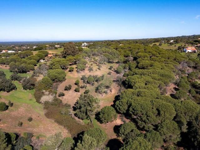 Terreno venda em Grândola, Setúbal