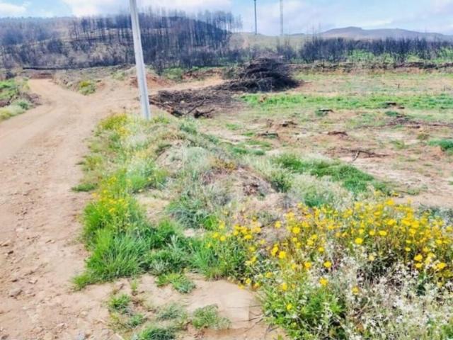Terreno venda em Guarda