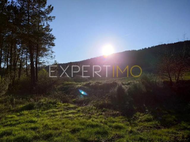 Terreno venda em Guarda