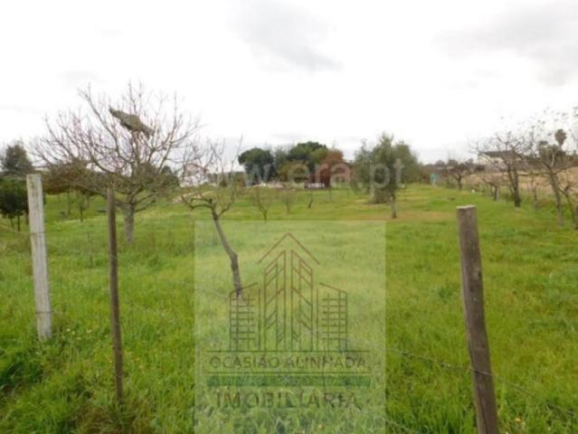 Terreno venda em Guarda, Seia