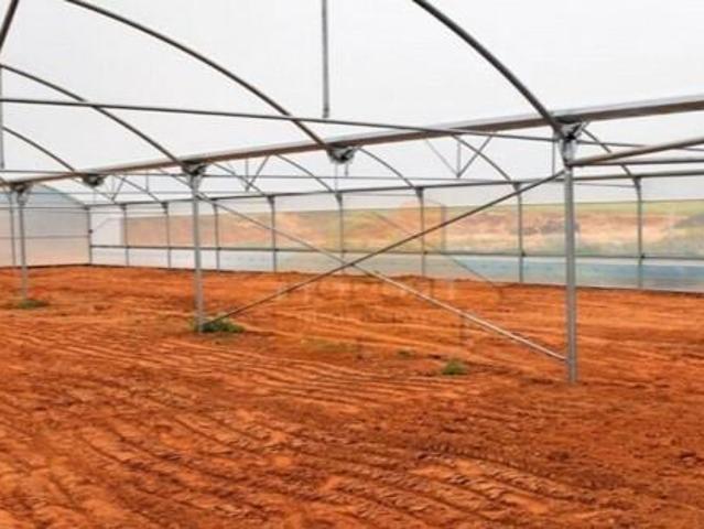 Terreno venda em Guia, Pedrogueira