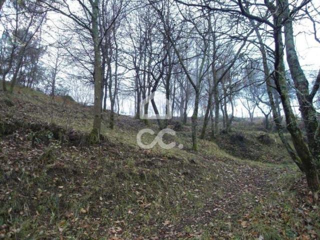 Terreno venda em Guimarães, Braga